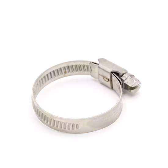 SS316 304 Band Worm Drive Clips German Type Hose Clamps