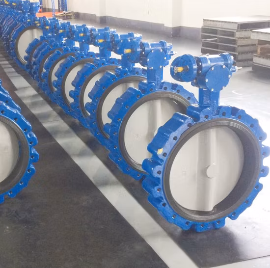 Worm Gear Lug Wafer Pn10/Pn16 Ductile Iron/Cast Iron Butterfly Valves