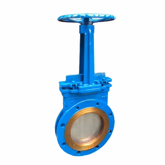 ANSI/API/ASTM/ASME/Wcb Flange Ball Globe Check Butterfly Gate Valve