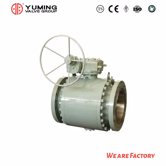 API 6D&API608 Cast Steel, Wcb, Carbon Steel, Stainless Steel CF8, CF8m, A105/F304/F316 2PC Flanged Pipeline Trunnion Mounted Ball Valve with Gear Operation