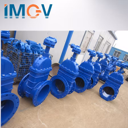 Ductile Iron/Wcb/Stainless Steel Non Rising O&Y Resilient Seated Industrial Control Gate Valve